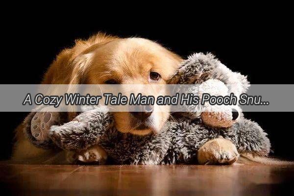 A Cozy Winter Tale Man and His Pooch Snuggle Under Blankets in Heartwarming Blanket Fort Adventure